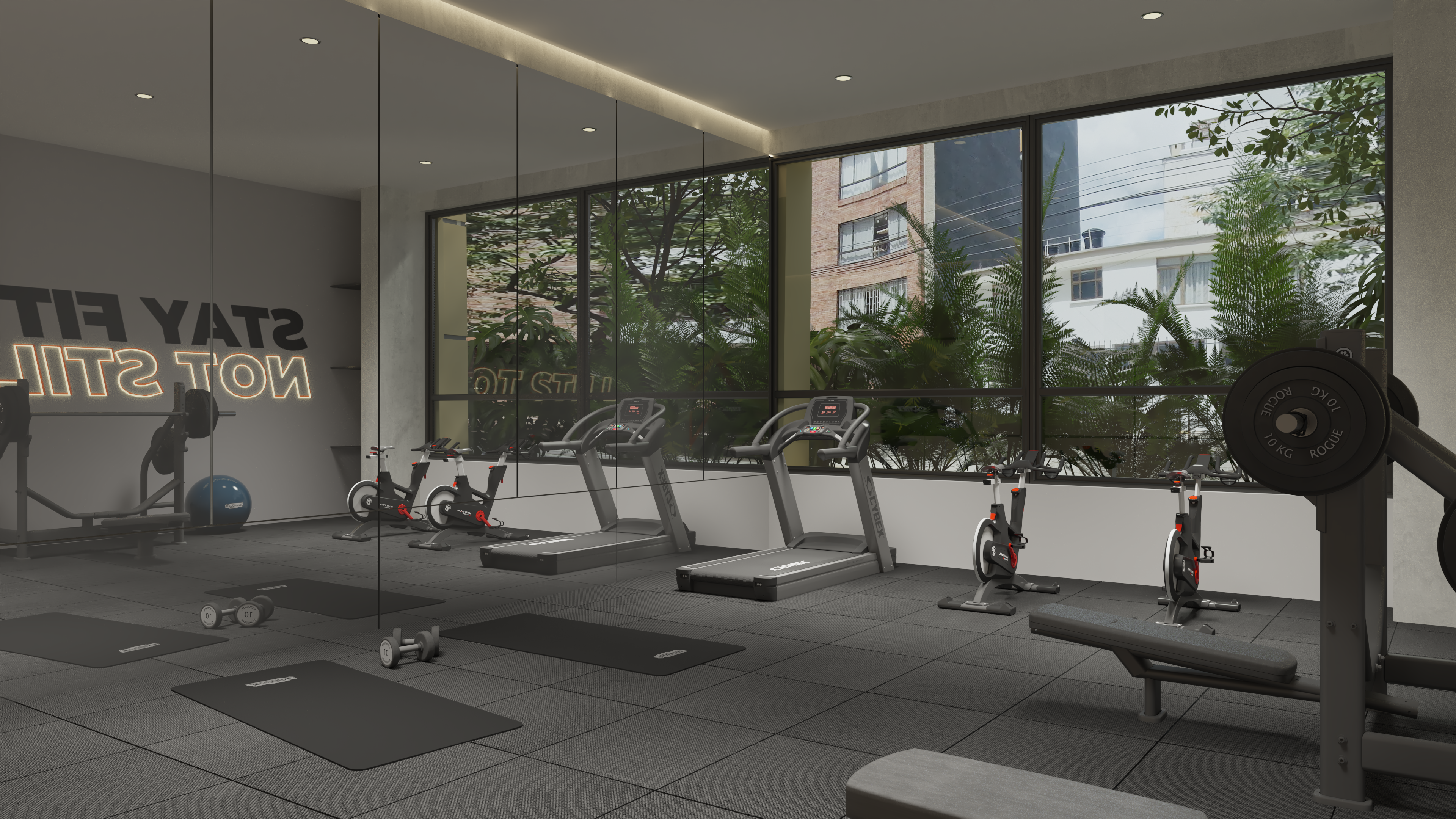 Gimnasio